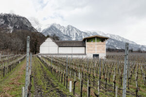 7306_01_Weingut_Gantenbein__a