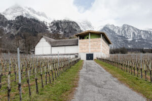 7306_01_Weingut_Gantenbein__b