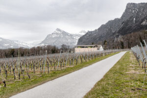 7306_01_Weingut_Gantenbein__c