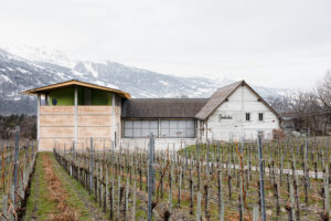 7306_01_Weingut_Gantenbein__d